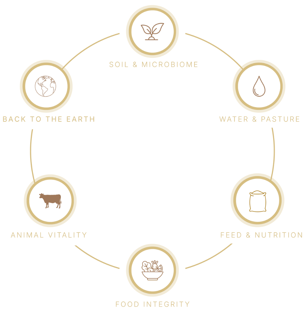 Health Cycle